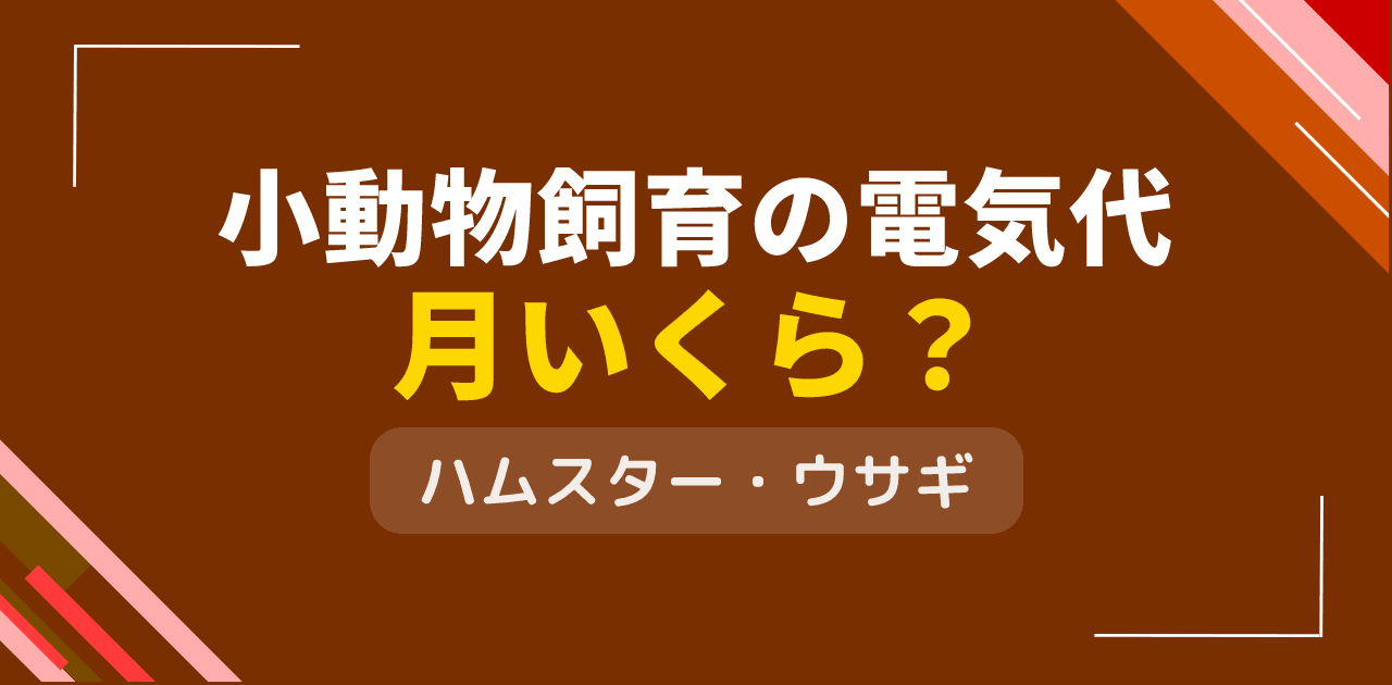 小動物飼育の電気代は?ハムスター・ウサギの温度管理費